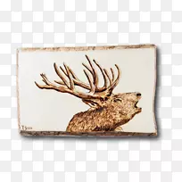 �滭����ľ��Ф��-�����-������