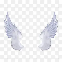 ���-������