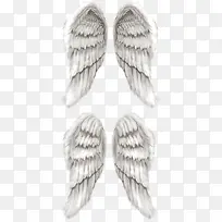 翅膀-空若网 翅膀-空若网