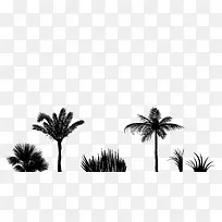 小草剪影-空若网 小草剪影-空若网