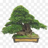 ���͹����辰-������