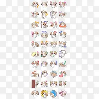 可爱逗比狗狗表情-空若网 可爱逗比狗狗表情-空若网