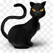 动物动物阿凡达黑色猫斤危险邪恶-空若网 动物动物阿凡达黑色猫斤危险邪恶-空若网