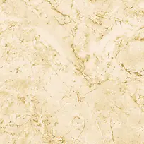 �ذ�-������