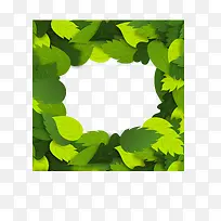 质感绿叶边框背景矢量素材-空若网 质感绿叶边框背景矢量素材-空若网