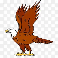 扑腾翅膀的海雕卡通造型-空若网 扑腾翅膀的海雕卡通造型-空若网