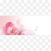 ��ܰ���亣��-������