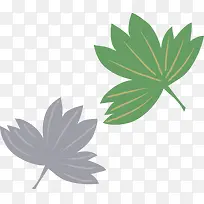 ��ͨ��Ҷ-������