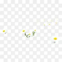 春天漂浮白色雏菊-空若网 春天漂浮白色雏菊-空若网