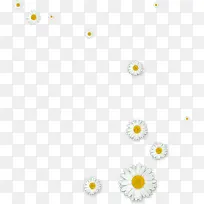 白色漂浮清新雏菊-空若网 白色漂浮清新雏菊-空若网