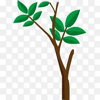 �����ƽ����ľ-������