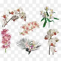 ���������ֻ滨���ز�-������