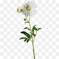 װ�λ��ݱ����ز�-������