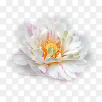 Çìµä»¨»ÜÊÖ»æ×°ÊÎËØ²Ä-¿ÕÈôÍø Çìµä»¨»ÜÊÖ»æ×°ÊÎËØ²Ä-¿ÕÈôÍø