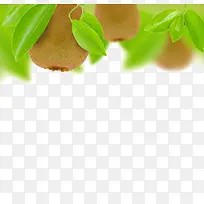 新鲜的猕猴桃水果-空若网 新鲜的猕猴桃水果-空若网