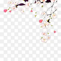 可爱白花树枝图-空若网 可爱白花树枝图-空若网