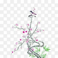 古风树枝白花小鸟-空若网 古风树枝白花小鸟-空若网