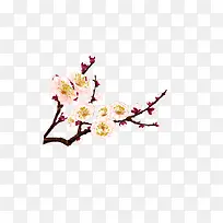 古风免扣白花树枝-空若网 古风免扣白花树枝-空若网