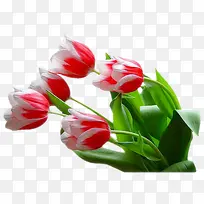 �����زĻ���ʸ���ز�-������