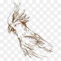 素描 动物-空若网 素描 动物-空若网