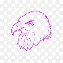 ӥͷʾ��ͼ-������