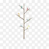 树枝-空若网 树枝-空若网