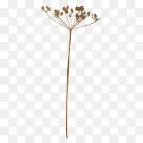 枯萎的树枝-空若网 枯萎的树枝-空若网