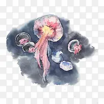 ˮĸˮ²Ê»ËزÄͼƬ-¿ÕÈôÍø ˮĸˮ²Ê»ËزÄͼƬ-¿ÕÈôÍø