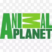 动物星球电视频道发现公司。探索频道-空若网 动物星球电视频道发现公司。探索频道-空若网