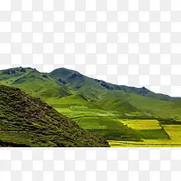 卓尼油菜花图片-空若网 卓尼油菜花图片-空若网