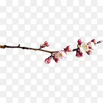 �ֻ��һ�-������