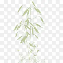 植物剪影-空若网 植物剪影-空若网