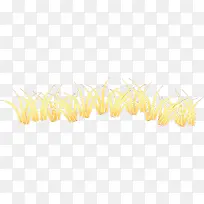 黄色小草-空若网 黄色小草-空若网