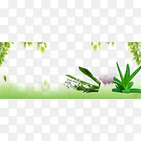 ��ױƷ��������-������