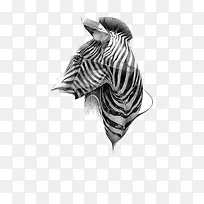 创意斑马-空若网 创意斑马-空若网