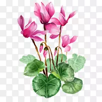 插花艺术.花卉图案-空若网 插花艺术.花卉图案-空若网