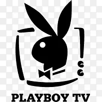 ��ɫ��ͷplayboy tv��־ʸ��-������