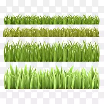 Ãâ·Ñ¼ôÌù»-²Ý-¿ÕÈôÍø Ãâ·Ñ¼ôÌù»-²Ý-¿ÕÈôÍø