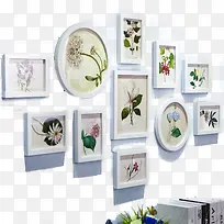 时尚花草照片摆件-空若网 时尚花草照片摆件-空若网