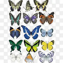 É«²Ê°ßìµ»¨ÎƺûµûʸÁ¿ËزÄ-¿ÕÈôÍø É«²Ê°ßìµ»¨ÎƺûµûʸÁ¿ËزÄ-¿ÕÈôÍø