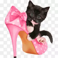 ���տ��֣��ؿ��ͱ��Ը��-ˮ��-������