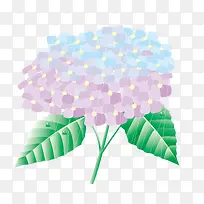 ����ˮ��ˢ����Ҷ��-������