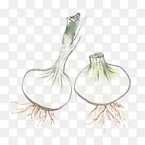 手绘蒜头-空若网 手绘蒜头-空若网