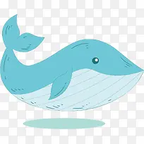 卡通鲸鱼PNG下载-空若网 卡通鲸鱼PNG下载-空若网
