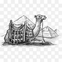 ����-������