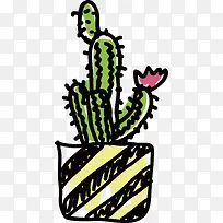 开花带刺柱状仙人球-空若网 开花带刺柱状仙人球-空若网