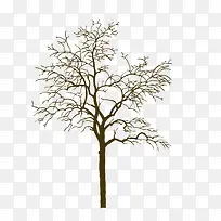 树干-空若网 树干-空若网