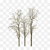 树干-空若网 树干-空若网