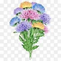 手绘一束精美花卉-空若网 手绘一束精美花卉-空若网