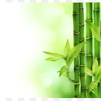 ���ӱ���-������